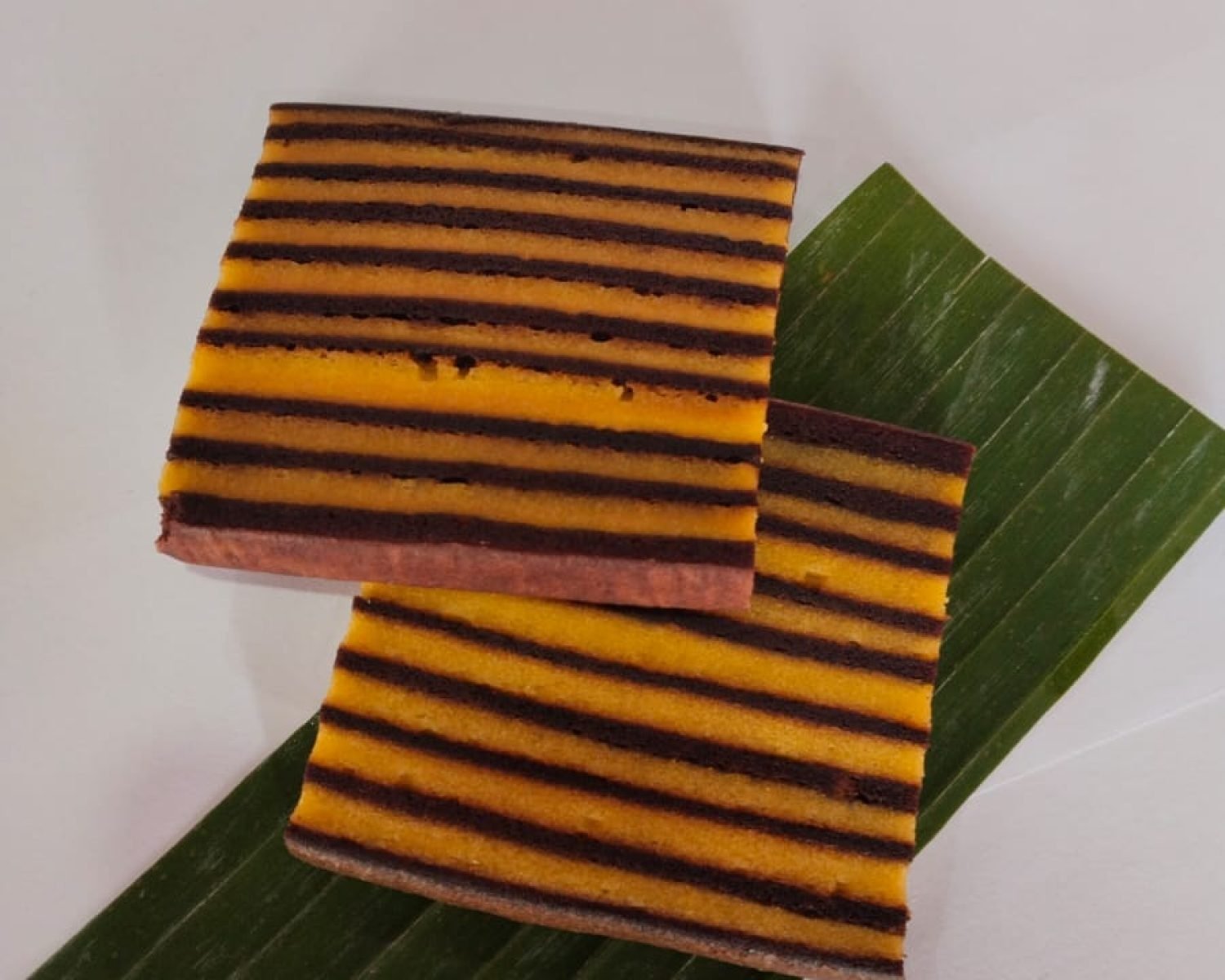 WhatsApp Image 2025-12-14 at 13.56.15